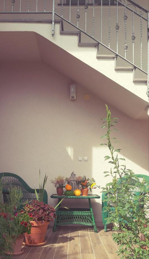Prenocisca Angelin Hram, Tiny Apartments Markovec Exterior photo
